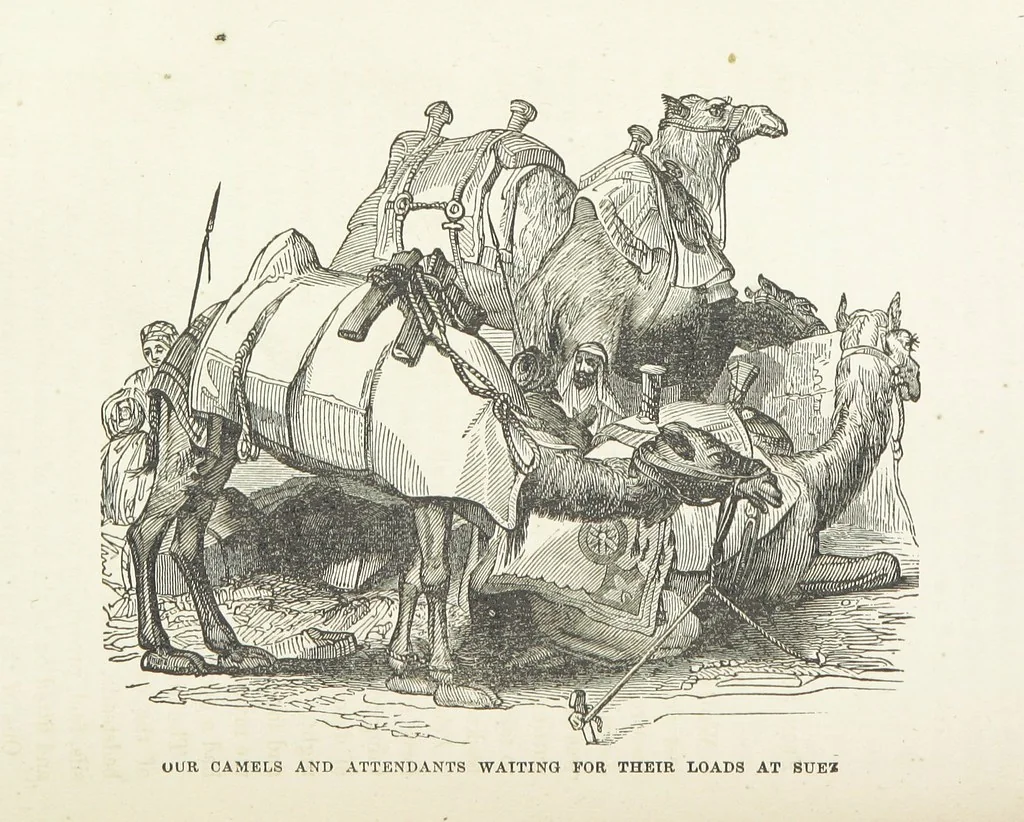 An illustration from The Handwriting of God in Egypt, Sinai, and the Holy Land: the records of a journey from the great Valley of the West to the Sacred Places of the East. ... With maps, diagrams, and ... illustrations, 1867, leaf 234