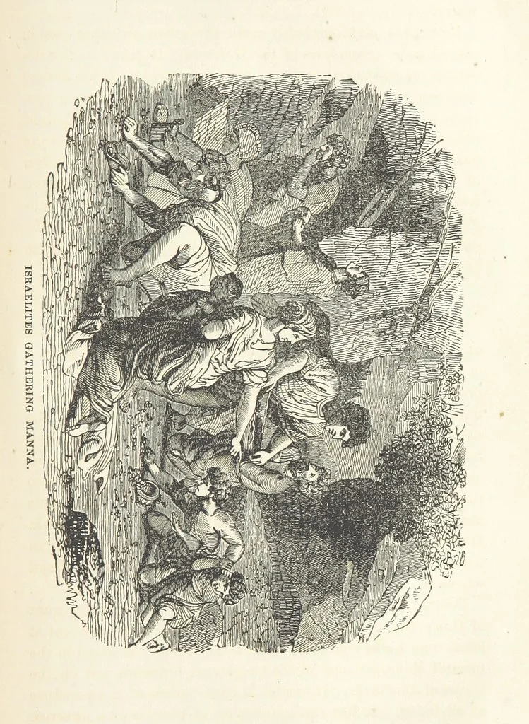 An illustration from The Handwriting of God in Egypt, Sinai, and the Holy Land: the records of a journey from the great Valley of the West to the Sacred Places of the East. ... With maps, diagrams, and ... illustrations, 1867, leaf 285