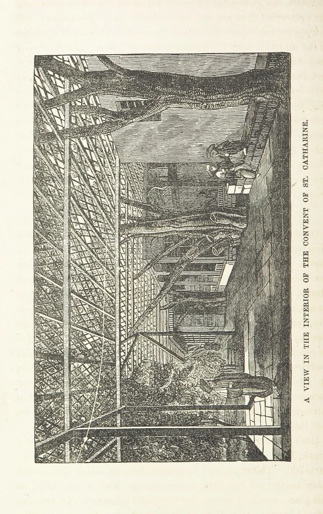 An illustration from The Handwriting of God in Egypt, Sinai, and the Holy Land: the records of a journey from the great Valley of the West to the Sacred Places of the East. ... With maps, diagrams, and ... illustrations, 1867, leaf 302