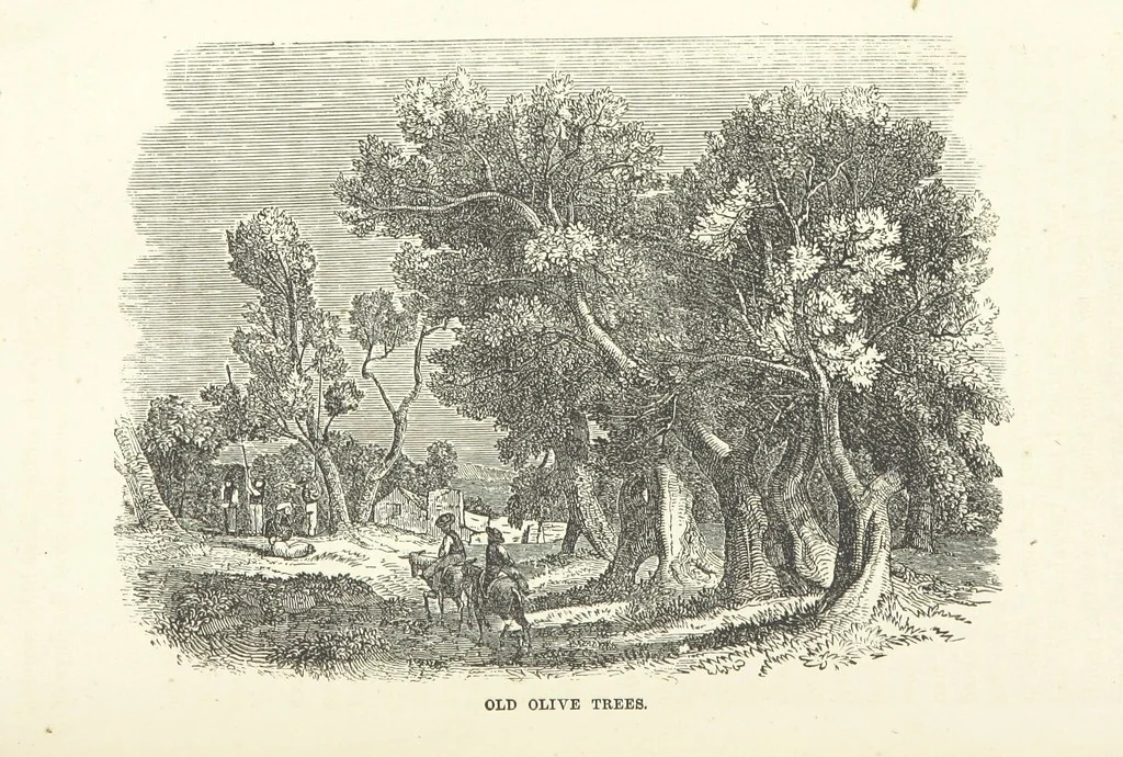 An illustration from The Handwriting of God in Egypt, Sinai, and the Holy Land: the records of a journey from the great Valley of the West to the Sacred Places of the East. ... With maps, diagrams, and ... illustrations, 1867, leaf 655