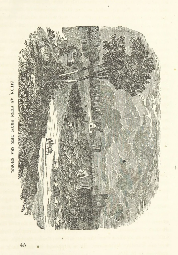 An illustration from The Handwriting of God in Egypt, Sinai, and the Holy Land: the records of a journey from the great Valley of the West to the Sacred Places of the East. ... With maps, diagrams, and ... illustrations, 1867, leaf 707