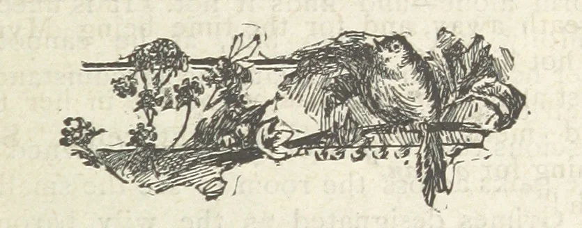 An illustration from Mynheer Joe. A semi-humorous story of love and adventure. Illustrated, 1893, leaf 101