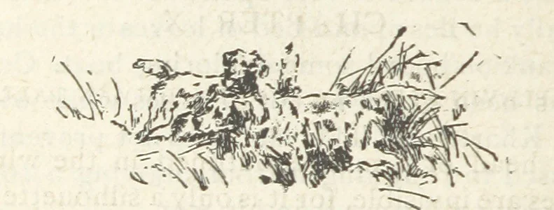 An illustration from Mynheer Joe. A semi-humorous story of love and adventure. Illustrated, 1893, leaf 128