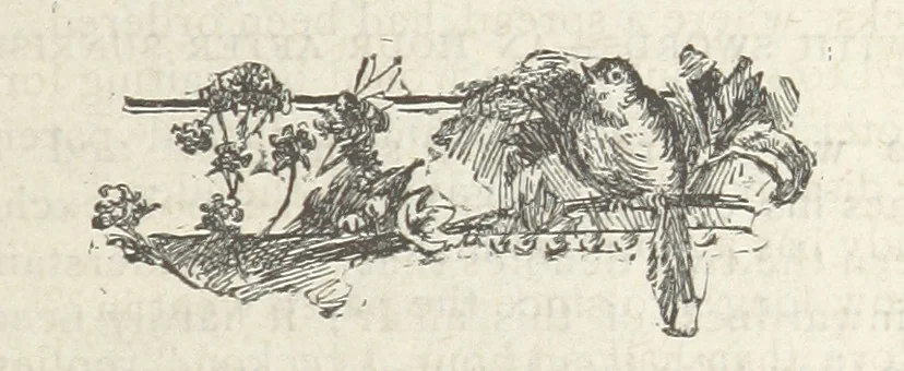An illustration from Mynheer Joe. A semi-humorous story of love and adventure. Illustrated, 1893, leaf 153