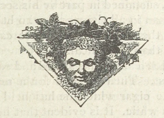 An illustration from Mynheer Joe. A semi-humorous story of love and adventure. Illustrated, 1893, leaf 191