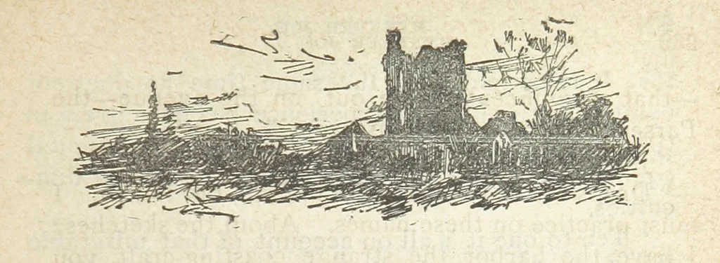 An illustration from Mynheer Joe. A semi-humorous story of love and adventure. Illustrated, 1893, leaf 245