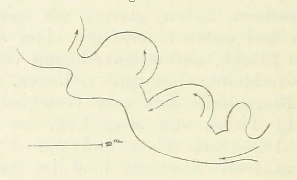 An illustration from Bibliothek geographischer Handbücher. Herausgegeben von ... F. Ratzel, 1885, leaf 334