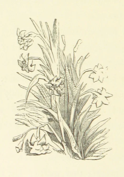 An illustration from Raymond's Heroine. [A novel. By Isabella Harwood, 1867, leaf 252