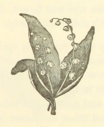 An illustration from Winter Scenes and other poems, 1884, leaf 119