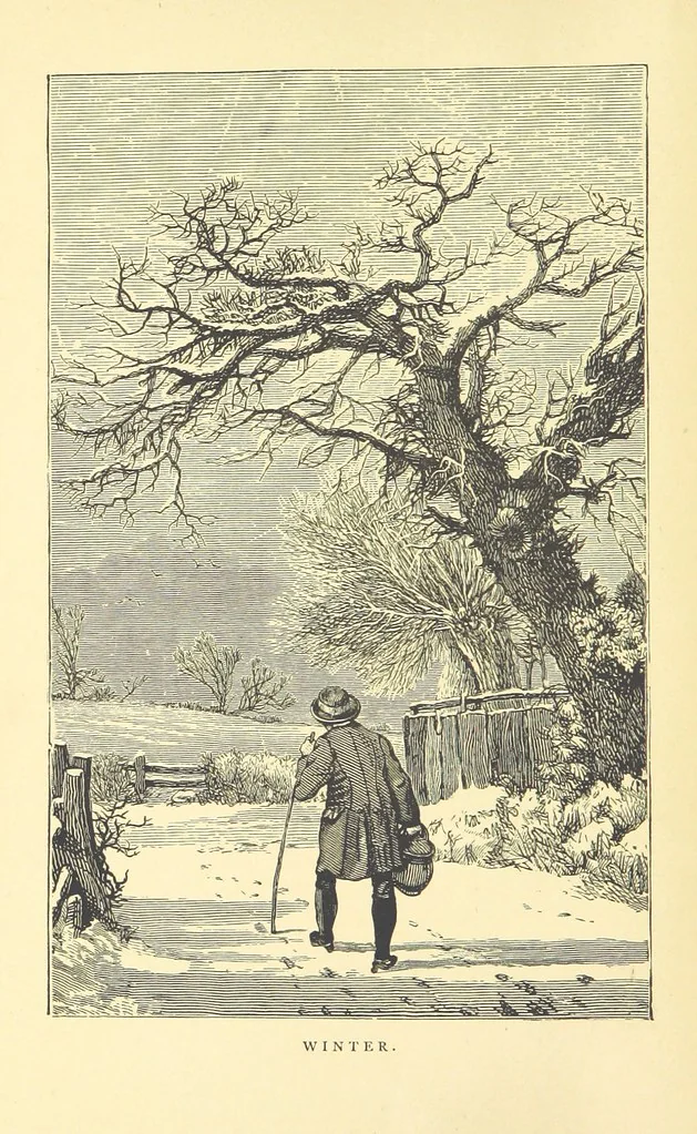 An illustration from Winter Scenes and other poems, 1884, leaf 14