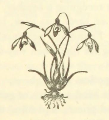 An illustration from Winter Scenes and other poems, 1884, leaf 147