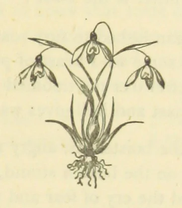 An illustration from Winter Scenes and other poems, 1884, leaf 23