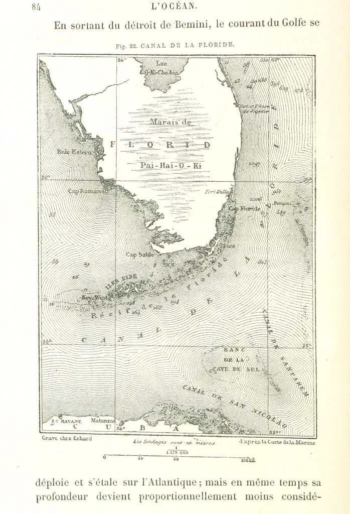 An illustration from La Terre: description des phénomènes de la vie du globe. I. Les Continents. II. L'Ocean, l'Atmosphere, la Vie, 1868, leaf 116