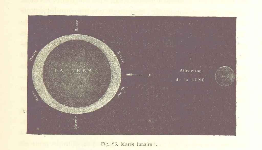 An illustration from La Terre: description des phénomènes de la vie du globe. I. Les Continents. II. L'Ocean, l'Atmosphere, la Vie, 1868, leaf 157