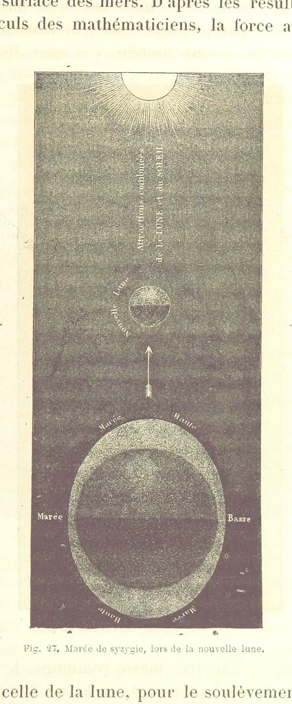 An illustration from La Terre: description des phénomènes de la vie du globe. I. Les Continents. II. L'Ocean, l'Atmosphere, la Vie, 1868, leaf 159