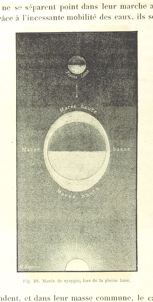 An illustration from La Terre: description des phénomènes de la vie du globe. I. Les Continents. II. L'Ocean, l'Atmosphere, la Vie, 1868, leaf 160