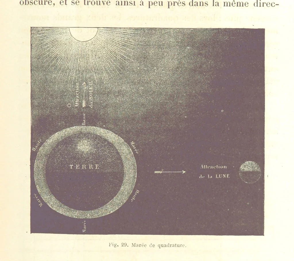 An illustration from La Terre: description des phénomènes de la vie du globe. I. Les Continents. II. L'Ocean, l'Atmosphere, la Vie, 1868, leaf 161