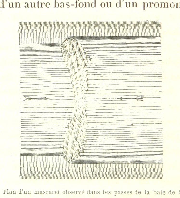 An illustration from La Terre: description des phénomènes de la vie du globe. I. Les Continents. II. L'Ocean, l'Atmosphere, la Vie, 1868, leaf 192