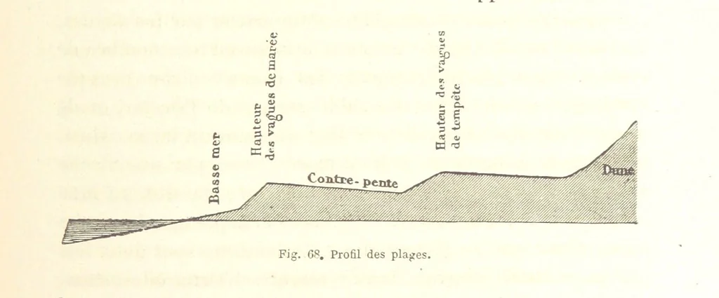 An illustration from La Terre: description des phénomènes de la vie du globe. I. Les Continents. II. L'Ocean, l'Atmosphere, la Vie, 1868, leaf 253