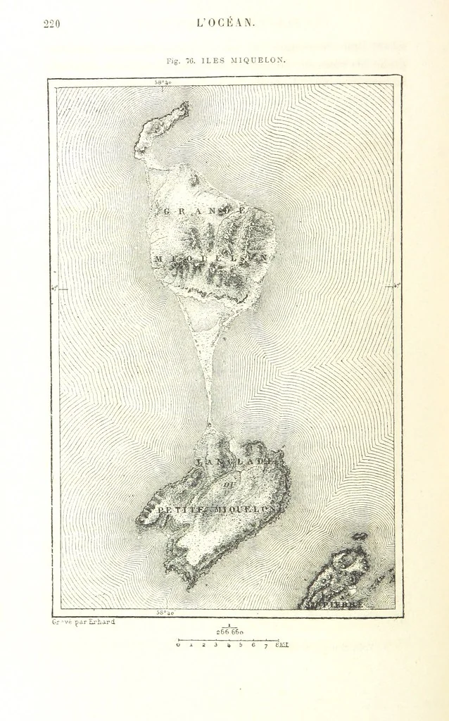 An illustration from La Terre: description des phénomènes de la vie du globe. I. Les Continents. II. L'Ocean, l'Atmosphere, la Vie, 1868, leaf 262