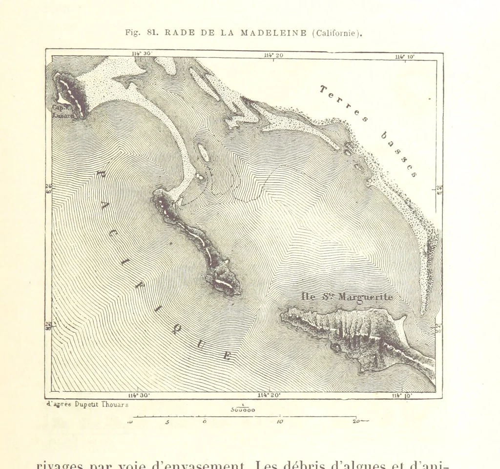 An illustration from La Terre: description des phénomènes de la vie du globe. I. Les Continents. II. L'Ocean, l'Atmosphere, la Vie, 1868, leaf 273