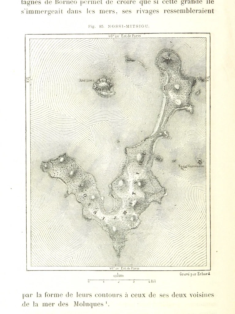 An illustration from La Terre: description des phénomènes de la vie du globe. I. Les Continents. II. L'Ocean, l'Atmosphere, la Vie, 1868, leaf 290