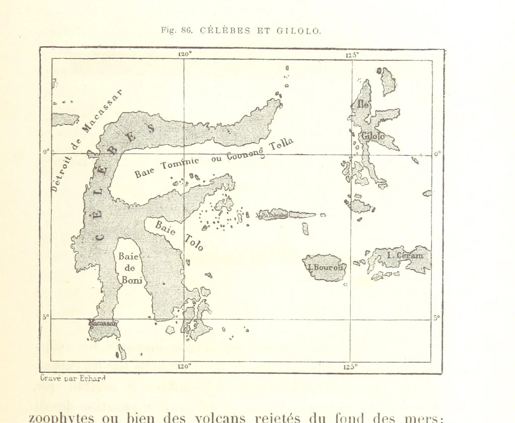An illustration from La Terre: description des phénomènes de la vie du globe. I. Les Continents. II. L'Ocean, l'Atmosphere, la Vie, 1868, leaf 291