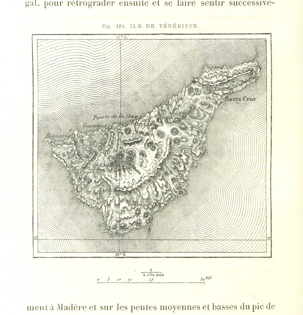 An illustration from La Terre: description des phénomènes de la vie du globe. I. Les Continents. II. L'Ocean, l'Atmosphere, la Vie, 1868, leaf 364