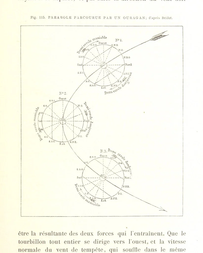 An illustration from La Terre: description des phénomènes de la vie du globe. I. Les Continents. II. L'Ocean, l'Atmosphere, la Vie, 1868, leaf 411