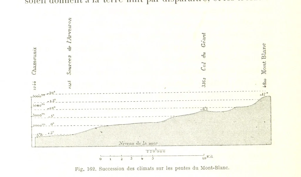An illustration from La Terre: description des phénomènes de la vie du globe. I. Les Continents. II. L'Ocean, l'Atmosphere, la Vie, 1868, leaf 568