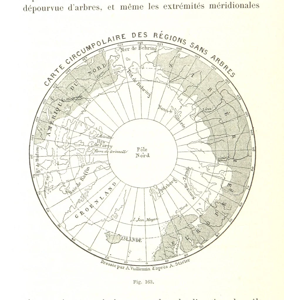 An illustration from La Terre: description des phénomènes de la vie du globe. I. Les Continents. II. L'Ocean, l'Atmosphere, la Vie, 1868, leaf 578