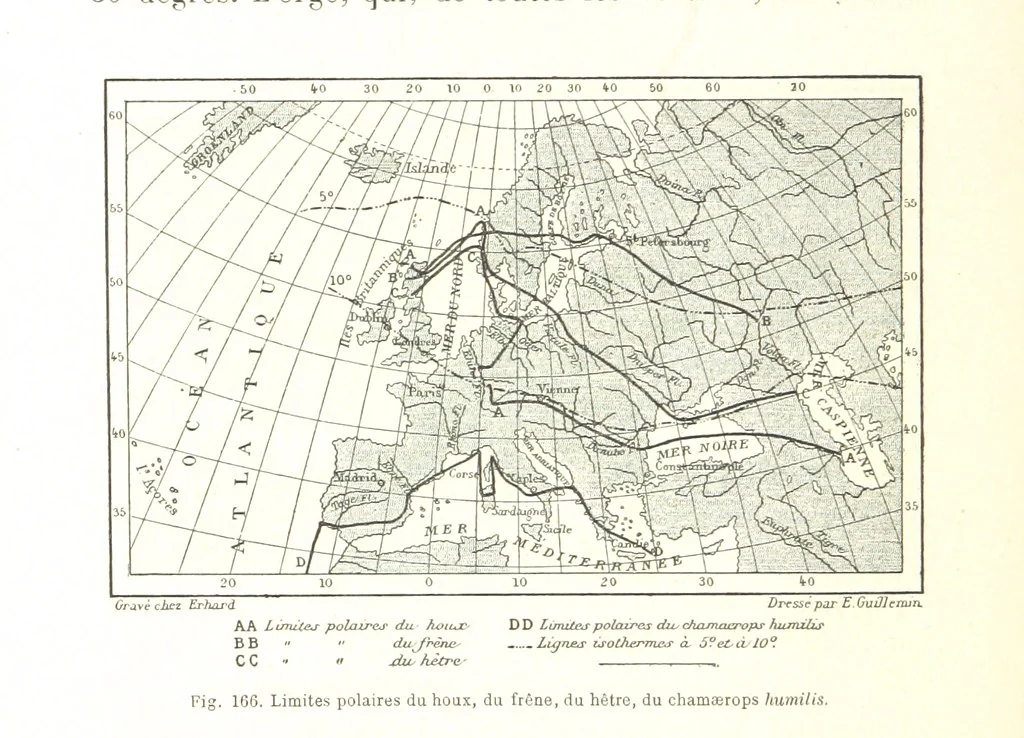 An illustration from La Terre: description des phénomènes de la vie du globe. I. Les Continents. II. L'Ocean, l'Atmosphere, la Vie, 1868, leaf 586
