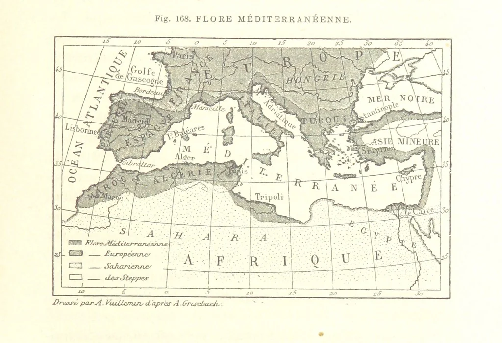 An illustration from La Terre: description des phénomènes de la vie du globe. I. Les Continents. II. L'Ocean, l'Atmosphere, la Vie, 1868, leaf 609
