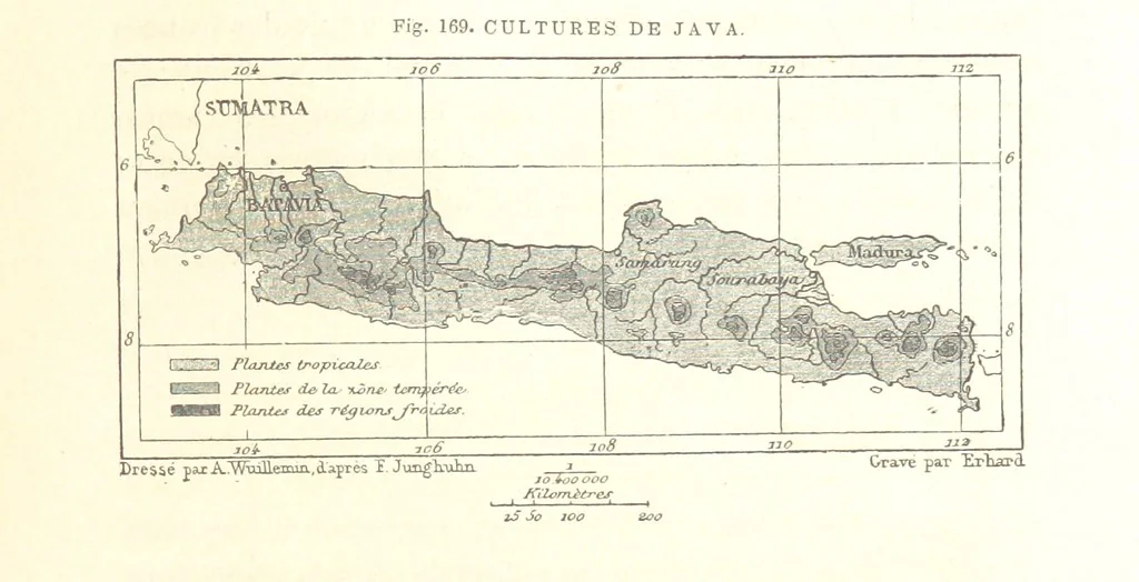 An illustration from La Terre: description des phénomènes de la vie du globe. I. Les Continents. II. L'Ocean, l'Atmosphere, la Vie, 1868, leaf 619