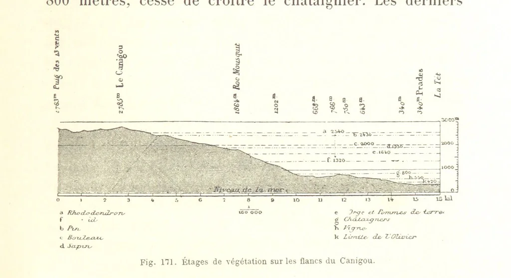 An illustration from La Terre: description des phénomènes de la vie du globe. I. Les Continents. II. L'Ocean, l'Atmosphere, la Vie, 1868, leaf 621