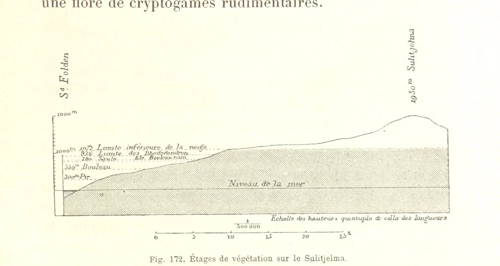 An illustration from La Terre: description des phénomènes de la vie du globe. I. Les Continents. II. L'Ocean, l'Atmosphere, la Vie, 1868, leaf 623