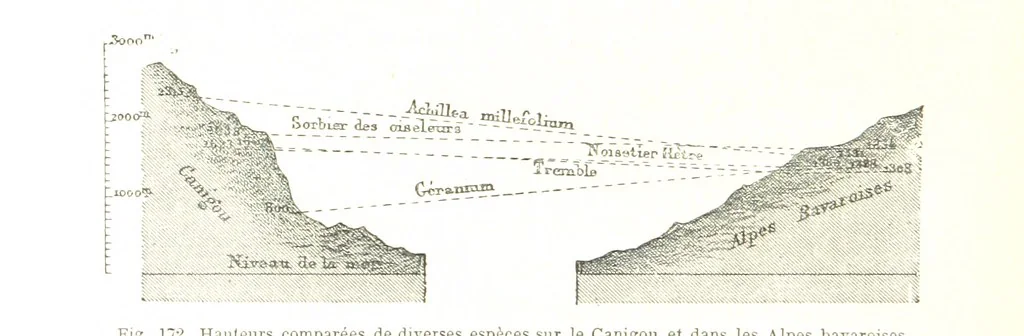 An illustration from La Terre: description des phénomènes de la vie du globe. I. Les Continents. II. L'Ocean, l'Atmosphere, la Vie, 1868, leaf 624