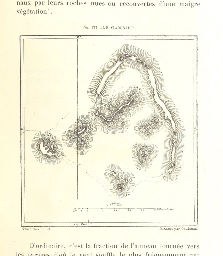 An illustration from La Terre: description des phénomènes de la vie du globe. I. Les Continents. II. L'Ocean, l'Atmosphere, la Vie, 1868, leaf 687