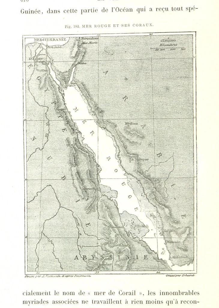 An illustration from La Terre: description des phénomènes de la vie du globe. I. Les Continents. II. L'Ocean, l'Atmosphere, la Vie, 1868, leaf 692