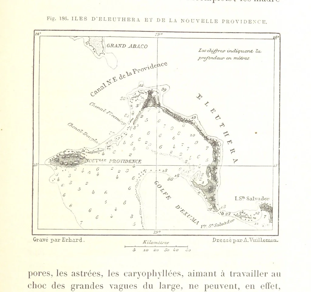 An illustration from La Terre: description des phénomènes de la vie du globe. I. Les Continents. II. L'Ocean, l'Atmosphere, la Vie, 1868, leaf 699