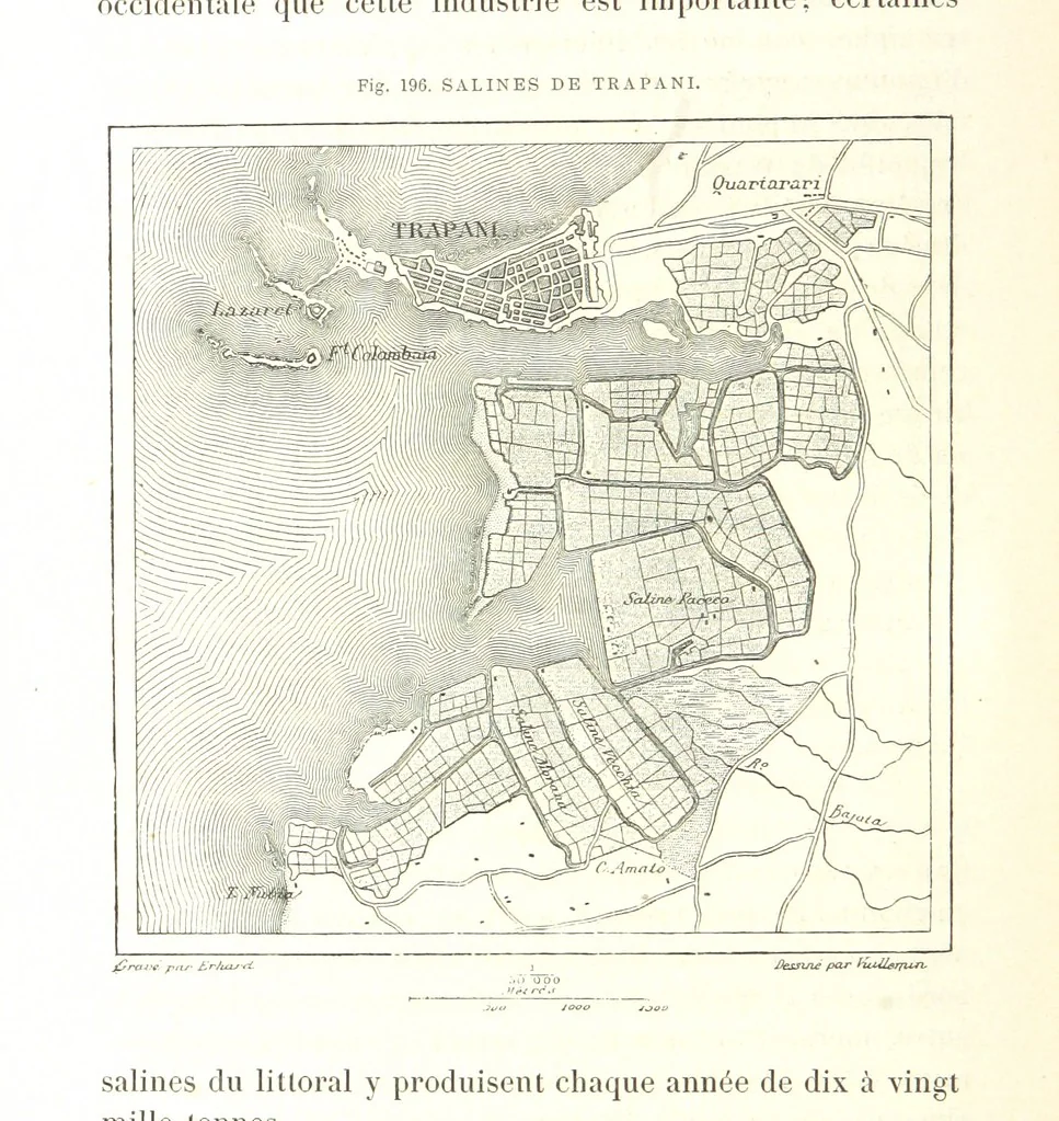 An illustration from La Terre: description des phénomènes de la vie du globe. I. Les Continents. II. L'Ocean, l'Atmosphere, la Vie, 1868, leaf 782