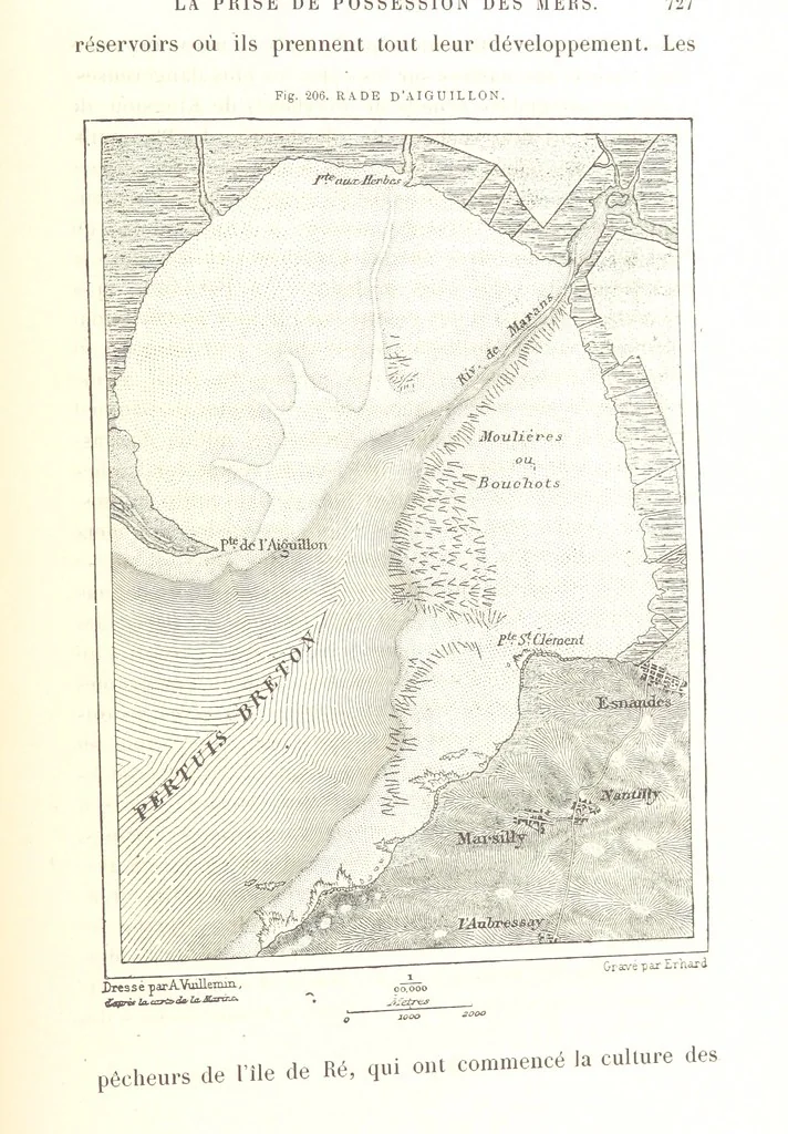 An illustration from La Terre: description des phénomènes de la vie du globe. I. Les Continents. II. L'Ocean, l'Atmosphere, la Vie, 1868, leaf 825