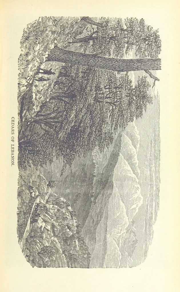 An illustration from Antiquities of the Orient unveiled, containing a concise description of King Solomon's cities, together with those of forty of the most ancient and renowned cities of the East ... With two ... lithographs, and ninety ... engravings, 1874, leaf 193