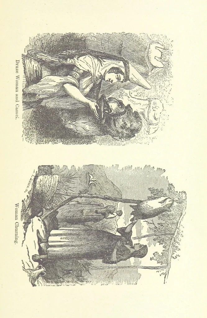 An illustration from Antiquities of the Orient unveiled, containing a concise description of King Solomon's cities, together with those of forty of the most ancient and renowned cities of the East ... With two ... lithographs, and ninety ... engravings, 1874, leaf 229