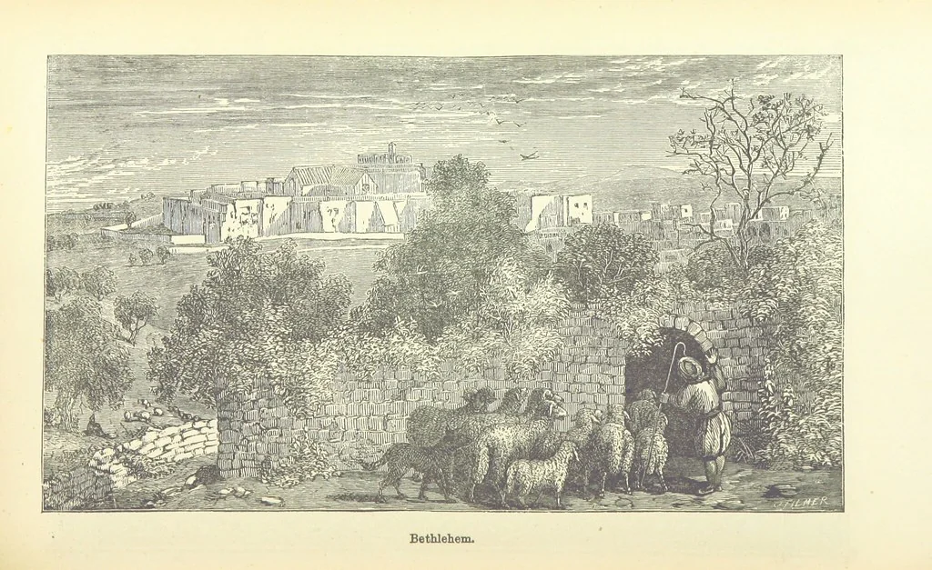 An illustration from Antiquities of the Orient unveiled, containing a concise description of King Solomon's cities, together with those of forty of the most ancient and renowned cities of the East ... With two ... lithographs, and ninety ... engravings, 1874, leaf 347