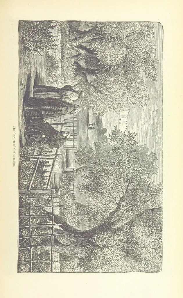 An illustration from Antiquities of the Orient unveiled, containing a concise description of King Solomon's cities, together with those of forty of the most ancient and renowned cities of the East ... With two ... lithographs, and ninety ... engravings, 1874, leaf 479