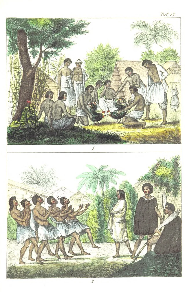An illustration from Die Völker der Erde nach ihrer Eigenthümlichkeit in Regierungsform, Sitten und Nationaltracht durch Wort und Bild, geschildert nach den Werken eines Barrow, H. Barth, Catlin, etc. Herausgegeben von A. B. Reichenbach. Mit 50 Tafeln colorirten Abbildungen, 1859, leaf 469