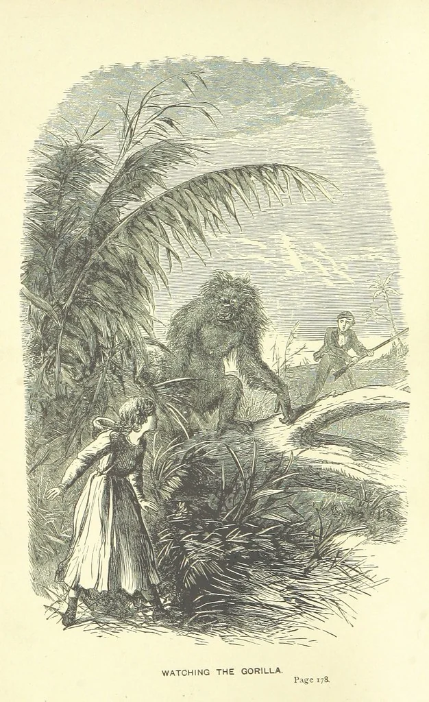 An illustration from The Castaways: a story of adventure in the wilds of Borneo, 1870, leaf 10