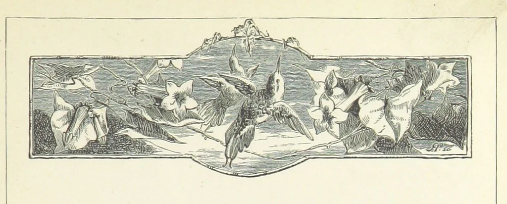 An illustration from The Castaways: a story of adventure in the wilds of Borneo, 1870, leaf 13