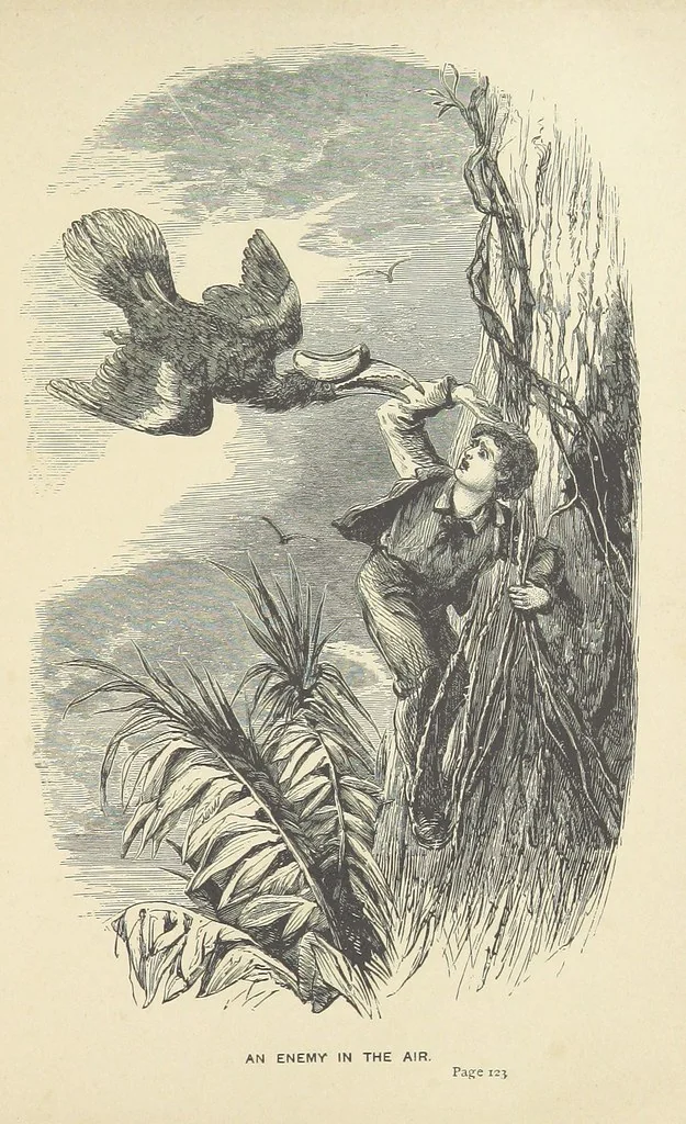 An illustration from The Castaways: a story of adventure in the wilds of Borneo, 1870, leaf 139